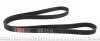Ремінь генератора Citroen Berlingo 1.6 00-08/ Nemo 1.4i 08- Gates 6PK1560 (фото 2)