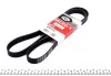 Ремень генератора Audi A4 00-08 Gates 6PK1573 (фото 1)