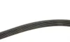 Ремень генератора VW T5 2.0TSI 11-15 Gates 6PK1583 (фото 3)