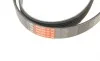 Ремень генератора VW T5 2.0TSI 11-15 Gates 6PK1583 (фото 4)