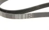 Ремень генератора VW T5 2.0TSI 11-15 Gates 6PK1583 (фото 5)