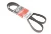 Ремень генератора Opel Astra 1.7CDTi 03-/Renault Megane/Laguna 1.9-3.0 97-03 Gates 6PK1605 (фото 1)