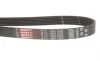 Ремень генератора Opel Astra 1.7CDTi 03-/Renault Megane/Laguna 1.9-3.0 97-03 Gates 6PK1605 (фото 2)