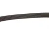 Ремень генератора Opel Astra 1.7CDTi 03-/Renault Megane/Laguna 1.9-3.0 97-03 Gates 6PK1605 (фото 3)