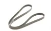 Ремень генератора Opel Corsa D 1.7CDTI 06-11/Ford Fiesta 1.8DI 00-03 Gates 6PK1613 (фото 2)