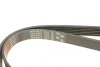 Ремень генератора Opel Corsa D 1.7CDTI 06-11/Ford Fiesta 1.8DI 00-03 Gates 6PK1613 (фото 4)