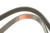 Ремень генератора Opel Corsa D 1.7CDTI 06-11/Ford Fiesta 1.8DI 00-03 Gates 6PK1613 (фото 5)