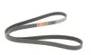 Ремень генератора Opel Astra 1.7CDTI/Passat B6 3.2FSI 05-10 Gates 6PK1623 (фото 2)