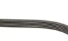 Ремень генератора Opel Astra 1.7CDTI/Passat B6 3.2FSI 05-10 Gates 6PK1623 (фото 3)