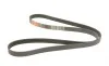 Ремінь генератора Opel Astra J/K/Insignia A/B/Ford Escort/Fiesta 1.4/1.6/1.6CDTI 90- Gates 6PK1633 (фото 2)