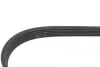 Ремень генератора VW LT 2.8TDI 96KW/Ford Transit 2.0DI 00- Gates 6PK1640 (фото 2)
