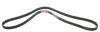 Ремень генератора Renault Megane I/Ford Transit 2.0 94-00 Gates 6PK1650 (фото 2)