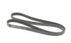 Ремень генератора Fiat Scudo/Citroen Berlingo/VW Golf Gates 6PK1660 (фото 2)
