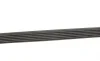 Ремень генератора Fiat Scudo/Citroen Berlingo/VW Golf Gates 6PK1660 (фото 3)
