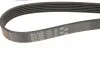 Ремень генератора Fiat Scudo/Citroen Berlingo/VW Golf Gates 6PK1660 (фото 4)