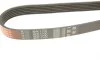 Ремень генератора Citroen Berlingo/Peugeot Partner 1.6 08- Gates 6PK1700 (фото 5)