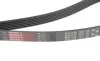 Ремень генератора Peugeot Expert/Citroen Jumpy 1.9D/TD 96-/2.0HDI 00- Gates 6PK1740 (фото 2)