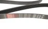 Ремінь генератора Peugeot Expert/Citroen Jumpy 1.9D/TD 96-/2.0HDI 00- Gates 6PK1745 (фото 1)