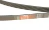 Ремень генератора Peugeot Expert 1.9D/2.0HDI 98-/Renault Clio/Kangoo/Megane 1.4/1.6 98-03 Gates 6PK1750 (фото 5)