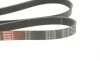 Ремінь генератора BMW 3 (E90-E93)/X1 (E84) 3.2D 07-11 N47 D20 Gates 6PK1780 (фото 2)