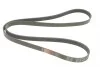 Ремінь генератора BMW 3 (E90-E93)/X1 (E84) 3.2D 07-11 N47 D20 Gates 6PK1780 (фото 4)