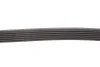 Ремень генератора Audi A4/A6 2.4 97-05/Jeep Cherokee 2.5 86-90 Gates 6PK1855 (фото 3)