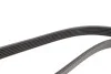 Ремень генератора VW T4 2.0i 91-03/Opel Vectra A/B Gates 6PK1903 (фото 3)