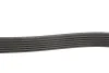 Ремень генератора Jeep Wrangler 4.0 i 96-07/Subaru Forester 2.0 13- Gates 6PK1910 (фото 3)