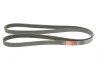 Ремінь генератора Ford Focus 1.4/1.6 16V 98-04 Gates 6PK1915 (фото 2)