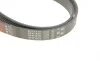 Ремінь генератора Ford Focus 1.4/1.6 16V 98-04 Gates 6PK1915 (фото 4)