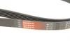 Ремінь генератора Ford Focus 1.4/1.6 16V 98-04 Gates 6PK1915 (фото 5)