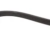 Ремінь генератора Audi A8 3.0i 03-06/Lexus GS/IS 3.0/3.5 00-11/Ford Fiesta 1.25-1.6 94-02 Gates 6PK1928 (фото 3)