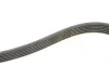 Ремінь генератора Infiniti FX/M45/Lexus GS/Mitsubishi Outlander 1.8-4.5 93- Gates 6PK1938 (фото 3)