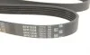 Ремінь генератора Infiniti FX/M45/Lexus GS/Mitsubishi Outlander 1.8-4.5 93- Gates 6PK1938 (фото 4)