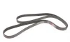 Ремень генератора Ford Transit 2.3 16V 00-06 (RWD) Gates 6PK1955 (фото 4)