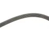 Ремень генератора BMW 3 (E46) 2.0d 01-05 M47 Gates 6PK2090 (фото 3)