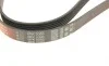 Ремінь генератора Honda Civic IX 1.6-1.8 11-/Mazda MPV II 2.5 V6 99-02 Gates 6PK2093 (фото 5)