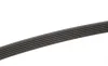Ремень генератора VW T4 2.5TDI 92-03 Gates 6PK2128 (фото 3)