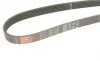 Ремень генератора MB Sprinter CDI (-AC) Gates 6PK2193 (фото 4)
