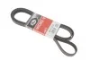 Ремень генератора VW T4 2.5 90-03/Ford Fiesta/Mondeo 1.8/2.0 00-08/Jeep Grand Cherokee 4.7 01-08 Gates 6PK2223 (фото 1)