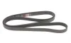 Ремень генератора VW T4 2.5 90-03/Ford Fiesta/Mondeo 1.8/2.0 00-08/Jeep Grand Cherokee 4.7 01-08 Gates 6PK2223 (фото 4)
