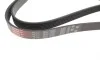 Ремень генератора MB Sprinter CDI (-AC) (с обводным роликом) Gates 6PK2260 (фото 2)