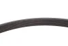Ремень генератора Ford Transit 2.3 06-14/Audi 100 2.8E 90-94 Gates 6PK2280 (фото 3)