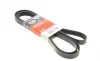 Ремінь генератора MB W202/210 M112/113 97- (WP,PS) Gates 6PK2305 (фото 1)