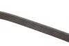 Ремінь генератора MB W202/210 M112/113 97- (WP,PS) Gates 6PK2305 (фото 3)