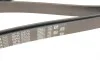 Ремінь генератора MB W202/210 M112/113 97- (WP,PS) Gates 6PK2305 (фото 5)