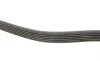 Ремень генератора MB E-class (W124/W211)/M-class (W164) 03-12 M104 Gates 6PK2358 (фото 3)