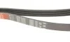 Ремень генератора MB E-class (W124/W211)/M-class (W164) 03-12 M104 Gates 6PK2358 (фото 4)