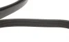 Ремень генератора Porsche Cayenne/VW Touareg 3.0 TDI 09- Gates 6PK2478 (фото 2)
