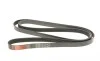 Ремінь генератора Audi A4/A6/A8/Q7 2.7/3.0TDI/VW Touareg 3.0TDI 04-18 Gates 6PK2490 (фото 2)